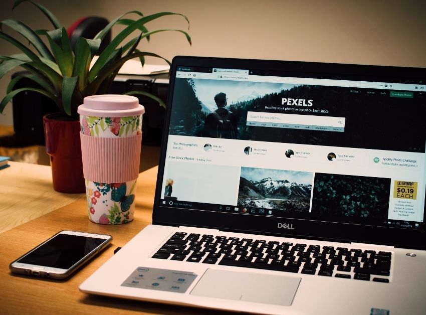 CozyWeb Studio Workspace Layout